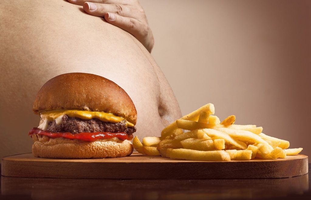 hamburger, p, french fries-2683042.jpg